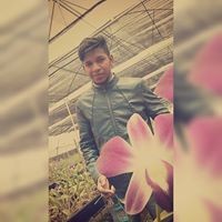 Profile Picture of Mavro Fernandes (@mavro-fernandes) on Quora