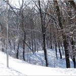 Profile Picture of Gurney (@gurneyrosehayk) on Instagram