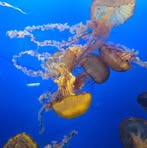 Profile Picture of Nathen Conners (@kocmack.phillips) on Facebook