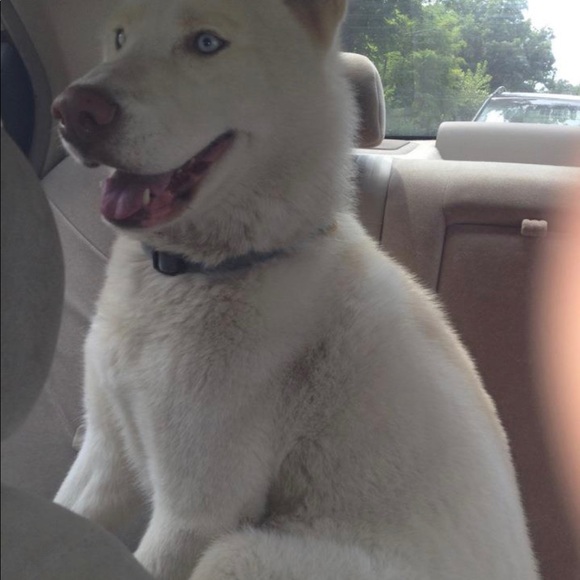 Profile Picture of Dougie Taylor (@dougie_taylor) on Poshmark