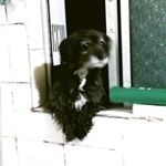 Profile Picture of Francisco Parra (@franciscocalavera) on Instagram