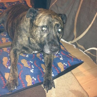 Profile Picture of Sue Obrien (@suzzieob) on Twitter