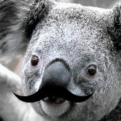 Profile Picture of Alex Huffman (@alexhuffman1868) on Youtube