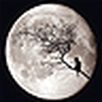 Profile Picture of David Melero López (@-dml-) on Flickr