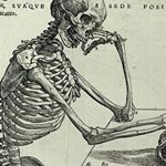 Profile Picture of Carolyn Lee Adams (@carolynleeadams) on Instagram