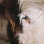 Profile Picture of James Benson (@JamesBenson-c7c) on Youtube