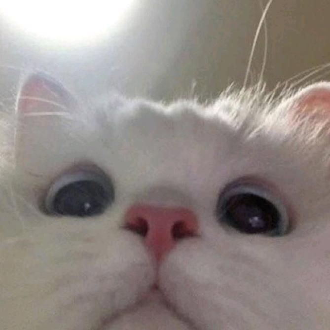 Profile Picture of JonathanBoudreau (@lf0slhvs6ti) on Tiktok