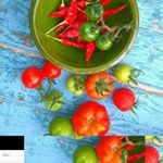 Profile Picture of Gary Smith (@backgardenimages) on Instagram