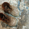 Profile Picture of Michael Chilcutt (@michaelchilcutt) on Flickr