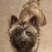 Profile Picture of Alice Winkler-Paetzel (@yoshi12aj) on Pinterest