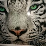 Profile Picture of Daniel Bargas (@bargas.d) on Instagram