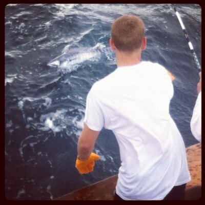 Profile Picture of Hans Kraaz (@hkraaz) on Twitter