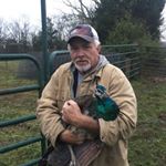 Profile Picture of Wayne Jenkins (@waynemannn) on Instagram