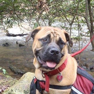 Profile Picture of Alice Griffith (@alice.griffith.737) on Facebook