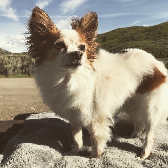 Linda Prettyman - Poshmark Profile Picture of Linda Prettyman (@lgpret) on Poshmark