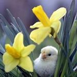 Profile Picture of Naila Ashfaq (@naaila916) on Instagram