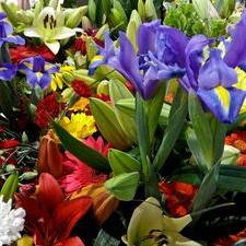 Profile Picture of Richa Mehta (@richamehta687) on Twitter