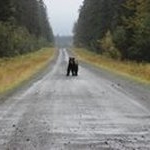 Profile Picture of Randy Lanham (@lanhamrandy) on Instagram