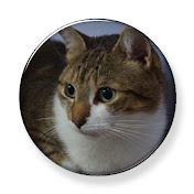 Profile Picture of Ryan Calhoun (@ryancalhoun7203) on Youtube