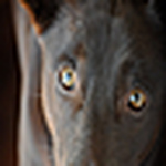 Profile Picture of Patrick & Pauline Smith (@P & P Smith) on Flickr