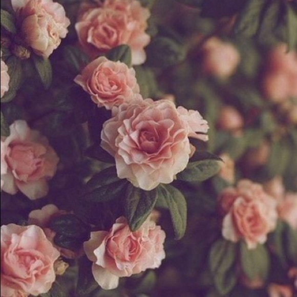 Profile Picture of Sukhraj Purewal (@sukhrajpurewal) on Poshmark