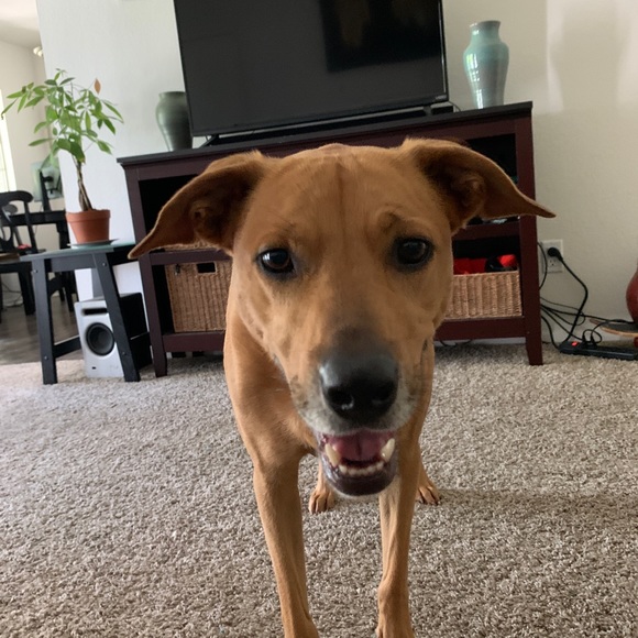 Profile Picture of Gary Ottens (@grayskies91) on Poshmark