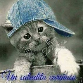 Profile Picture of Francisco Hernando Sa (@hernando_isaza) on Twitter