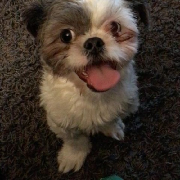 Profile Picture of Brian Alves (@brianalves119) on Poshmark