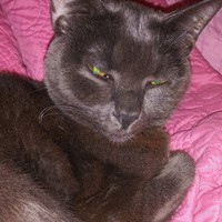 Profile Picture of Melva Gonzalez (@melva-gonzalez-1) on Quora