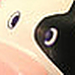 Profile Picture of Amanda Simpson (@amandacscstudent) on Flickr