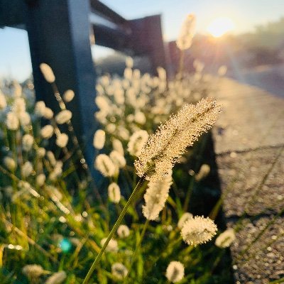 Profile Picture of Robin Norfleet (@RobinNorfleet9) on Twitter