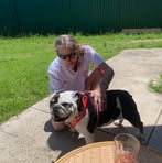 Profile Picture of Steven Wilcox (@Steven-Wilcox) on Facebook