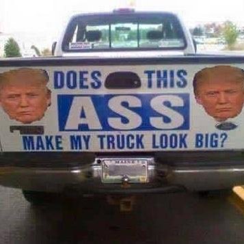 Profile Picture of Danny Fields (@45thUSAPrez_not) on Twitter