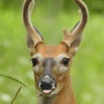 Profile Picture of David Harnly (@illumifate) on Instagram