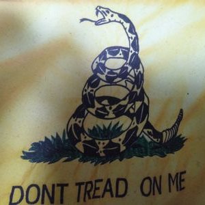 Profile Picture of Darrell Holden (@darrellholden8) on Twitter