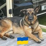 Profile Picture of Richard Overton (@dichy_1) on Instagram