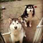 Profile Picture of karl36ashby (@karl36ashby) on Instagram