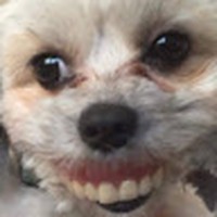 Profile Picture of Danny Palacios-badillo (@danny-palacios-badillo) on Quora