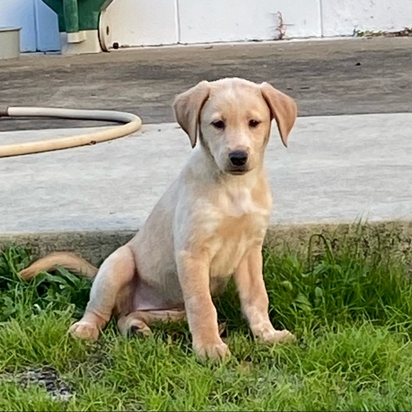 Profile Picture of Kate Vaughan (@katecvaughan) on Poshmark