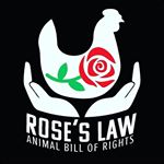 Profile Picture of Rose’s Law Canada (@roseslawcanada) on Instagram