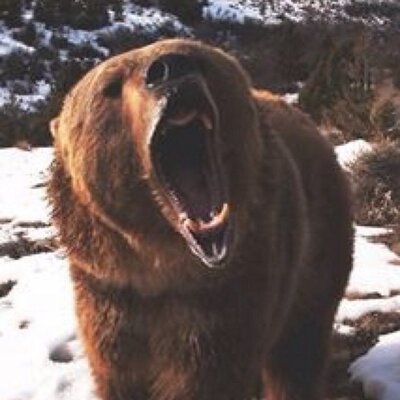 Profile Picture of Andrew Dunning (@andrewdunning2) on Twitter