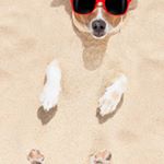 Profile Picture of Jonathan Freund (@jonathan.freund) on Instagram