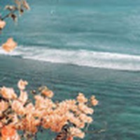 Jade Bender - Quora Profile Picture of Jade Bender (@jade-bender-7) on Quora