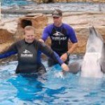 Robin Sherer - Instagram Profile Picture of Robin Sherer (@tpring61991yahoocom) on Instagram