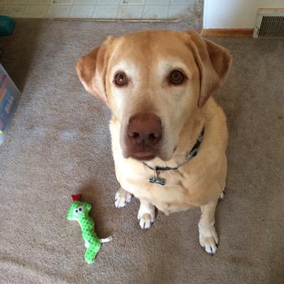 Mike Umberger - Twitter Profile Picture of Mike Umberger (@mikeu117) on Twitter