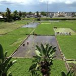 Profile Picture of Steve Nakamura (@stevenakalv) on Instagram