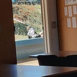 Profile Picture of wayne cardellini (@wayne.69420) on Instagram