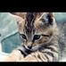 Profile Picture of Joan Pieper (@joan.pieper.90) on Facebook