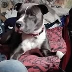 Profile Picture of Brian Riser (@Brian-Riser) on Facebook