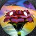 Profile Picture of Matt Kelley (@matt.kelley.90281) on Facebook